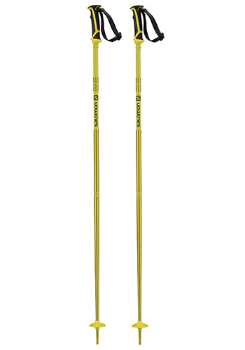 SALOMON ARCTIC POLES