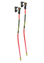 LEKI WORLDCUP LITE GS 3D TRIGGER POLES