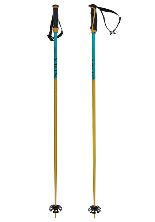 VOLKL PHANTASTICK 18MM POLES