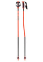 ATOMIC REDSTER GS SQS POLE