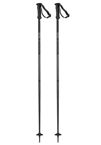 SALOMON ARCTIC POLES