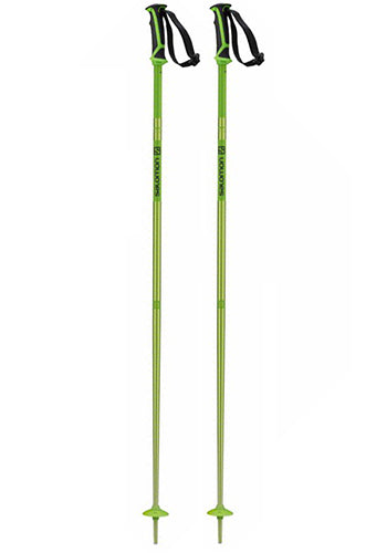 SALOMON ARCTIC POLES