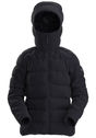 ARCTERYX WS THORIUM HOODY BLACK
