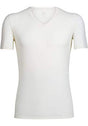 ICEBREAKER ANATOMICA SS V NECK