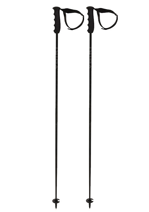 VOLKL SPEEDSTICK CARBON SKI POLES