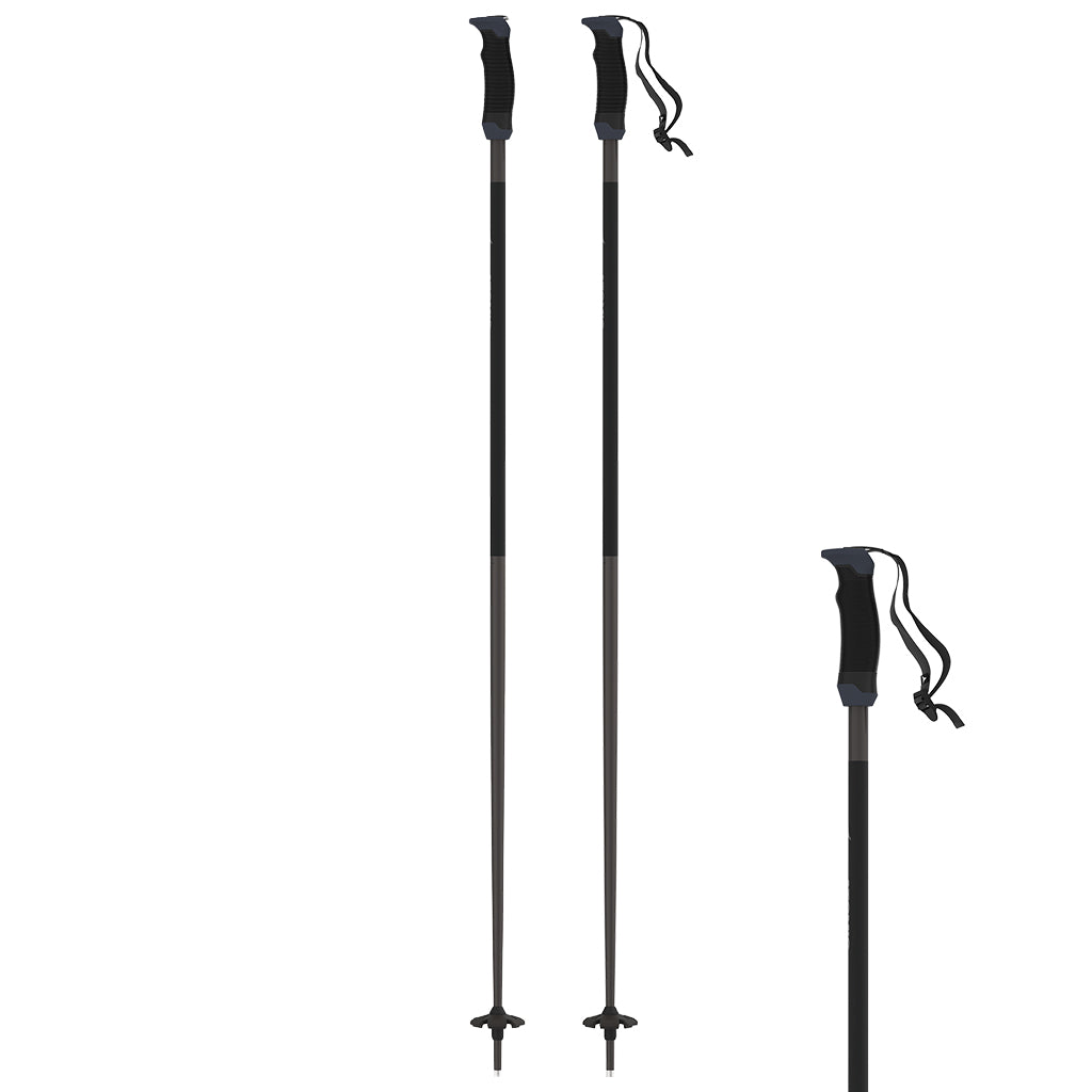 ATOMIC AMT SQS POLES