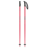 ATOMIC AMT POLES