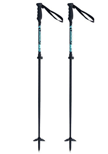 MOMENT FREERIDE POLES SEAFOAM
