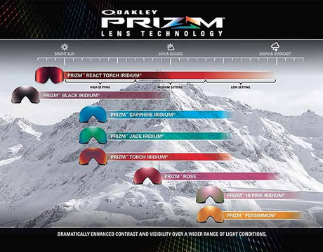 OAKLEY AMBUSH LENS PERS