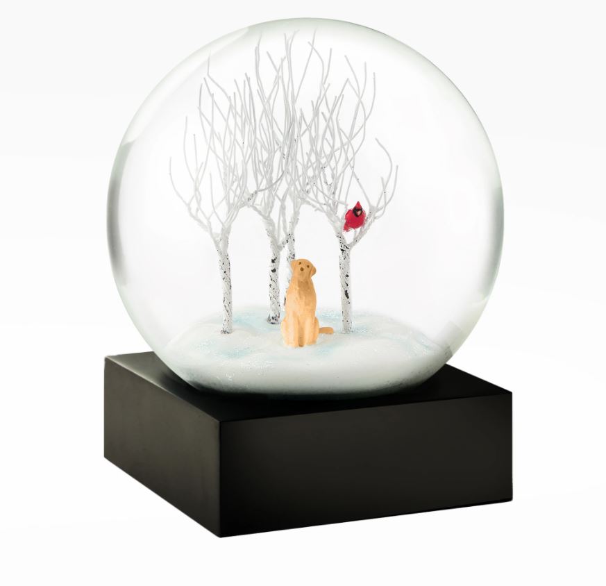 COOLSNOWGLOBE - LAB IN THE WOODS