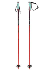 VOLKL PHANTASTICK 18MM POLES
